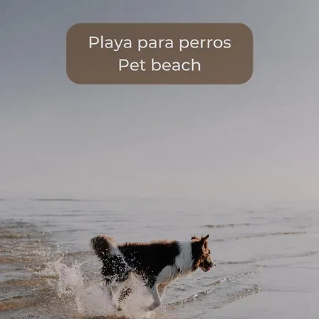 Banana Colada Con Piscina, Doble Terraza, Cocina Completa Y Wifi Appartamento *