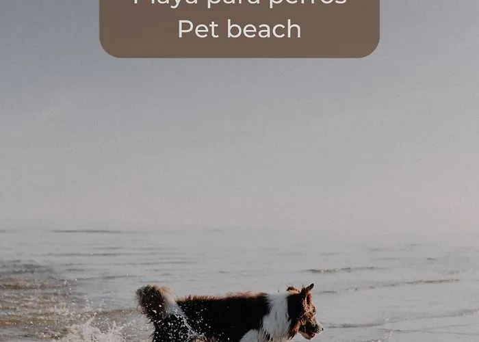 Banana Colada Con Piscina, Doble Terraza, Cocina Completa Y Wifi Apartament *